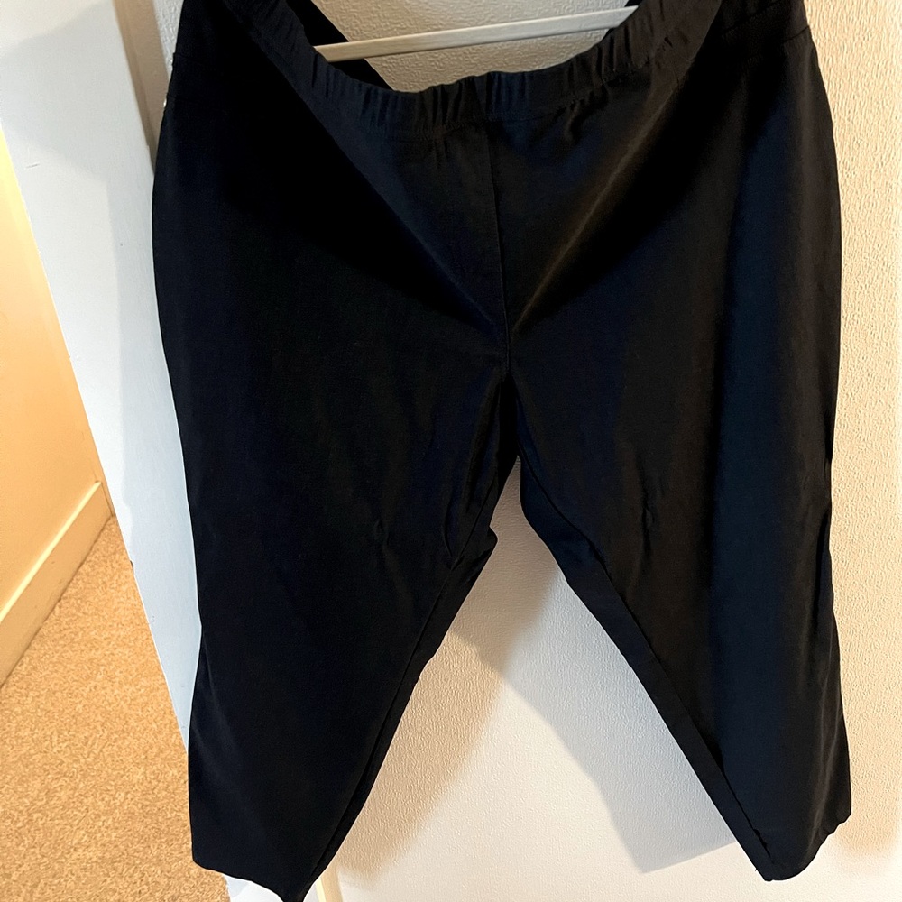 Plus size pants